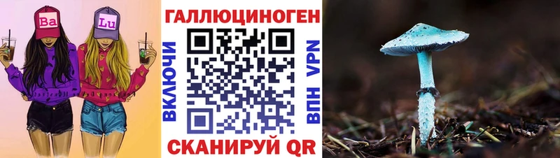 Псилоцибиновые грибы Psilocybine cubensis  shop клад  Ясный 